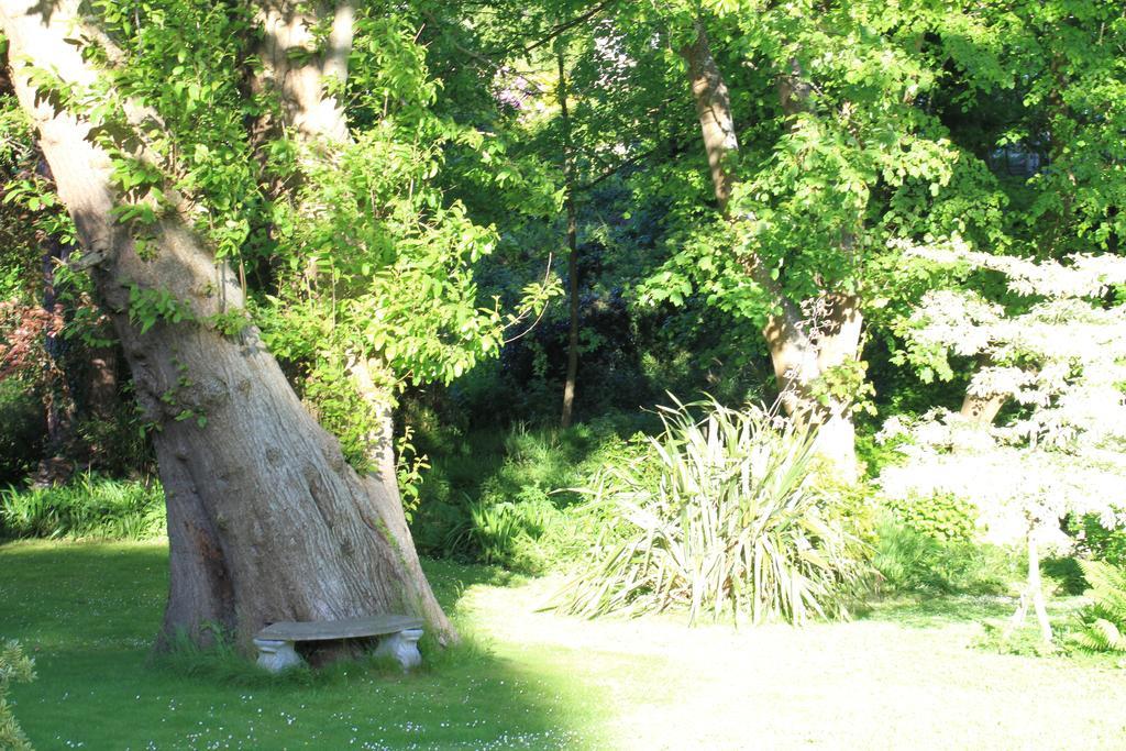 The Woodlands Ilfracombe Exterior foto